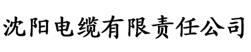 中文理论片在线播放电缆厂logo